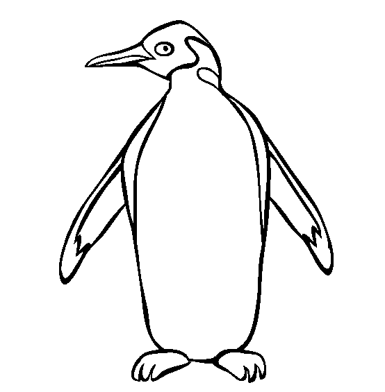 Animales para colorear: + Pingüinos