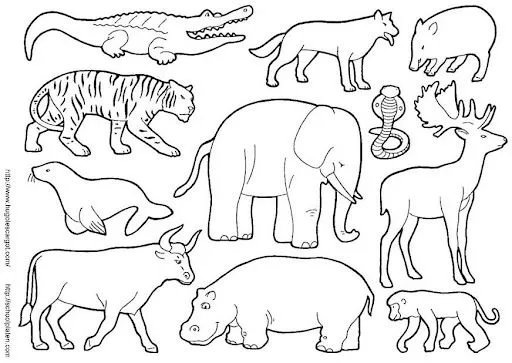 Animales salvajes de la selva para colorear - Imagui