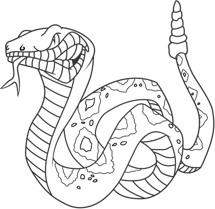 Animales para colorear: Serpientes de Cascabel