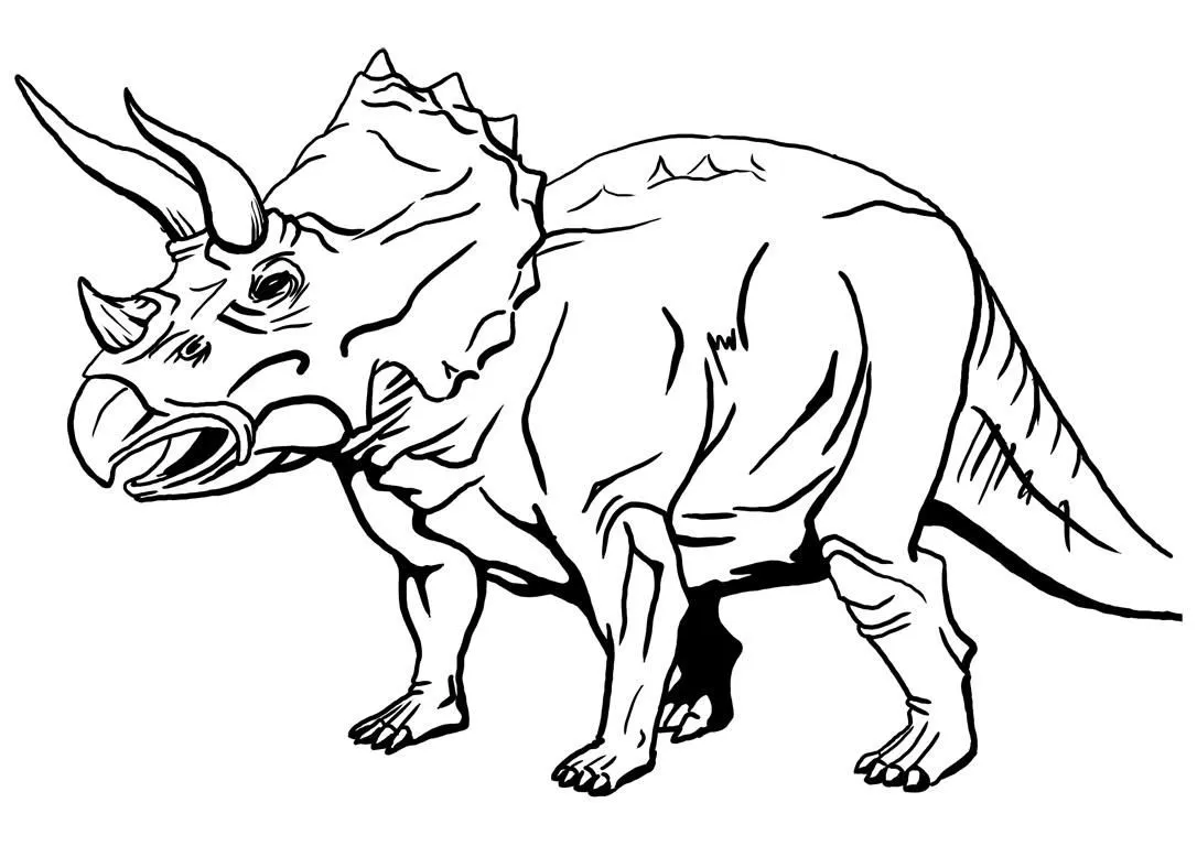 Animales para colorear: Triceratops