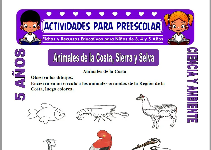 Animales de la Costa, Sierra y Selva para Niños de 5 Años | 2023