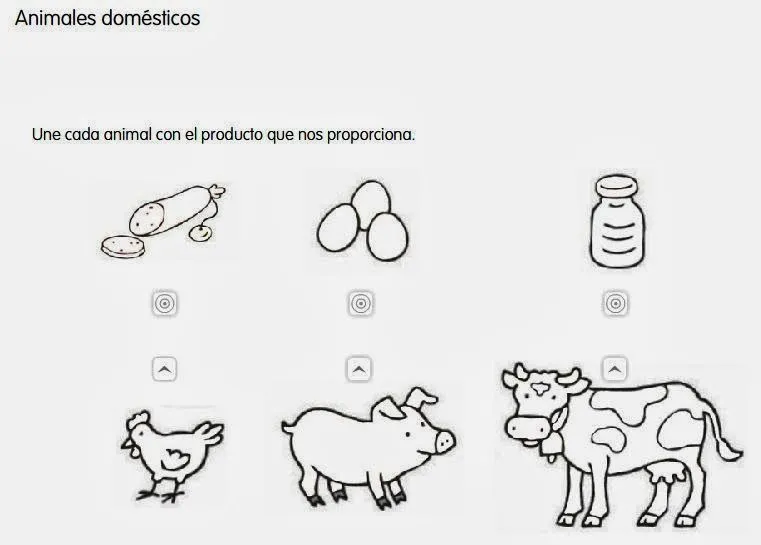 FUERTEMIMOPLATA (el blog de 1º de Primaria): ANIMALES DOMÉSTICOS ...