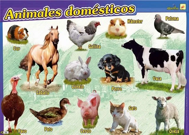 ANIMALES DOMESTICOS