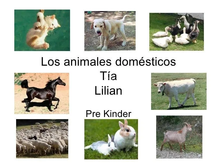 Los animales domésticos