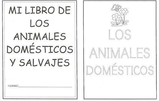 Animales Domesticos Y Salvajes En Ingles