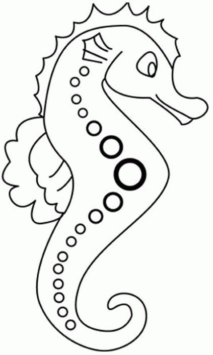 ANIMALES FOTOS DIBUJOS IMAGENES: 02/11/11