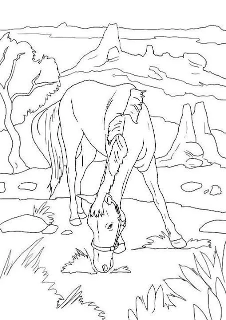 ANIMALES FOTOS DIBUJOS IMAGENES: DIBUJOS DE CABALLOS PARA COLOREAR ...