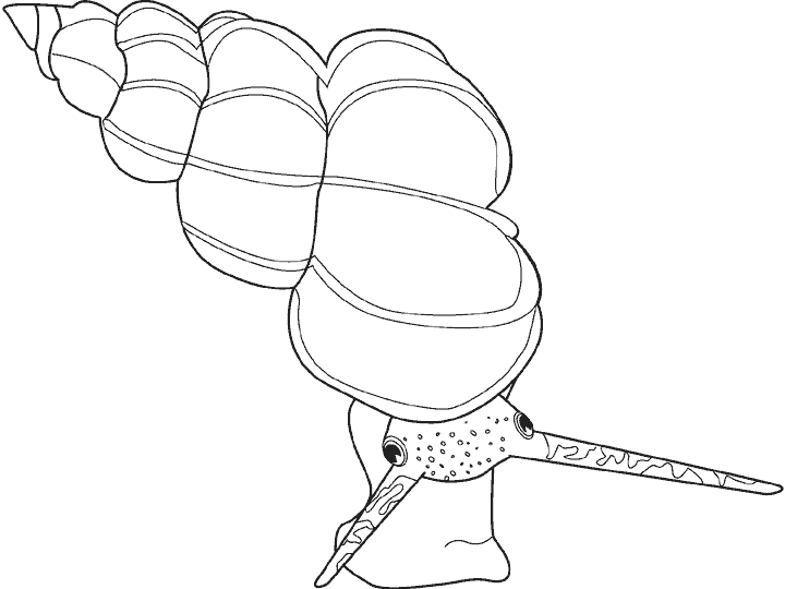 ANIMALES FOTOS DIBUJOS IMAGENES: FOTOS DEL CARACOL