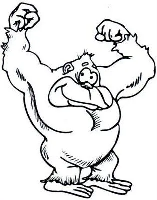 ANIMALES FOTOS DIBUJOS IMAGENES: FOTOS DE GORILAS