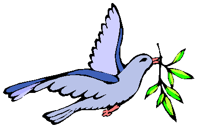 ANIMALES FOTOS DIBUJOS IMAGENES: FOTOS DE PALOMAS Y DIBUJOS