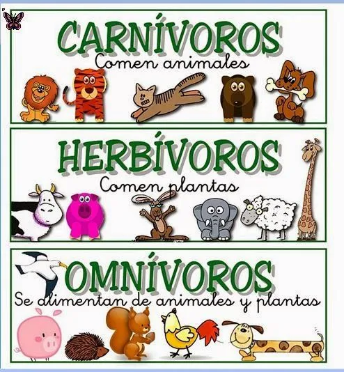 LOS ANIMALES GRADO. 4: ANIMALES CARNÍVOROS, HERBÍVOROS, Y OMNIVOROS