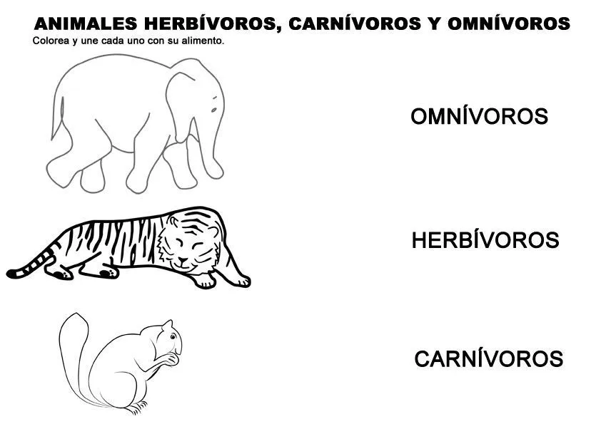 Animales herbívoros, carnívoros y omnívoros para niños de primaria.