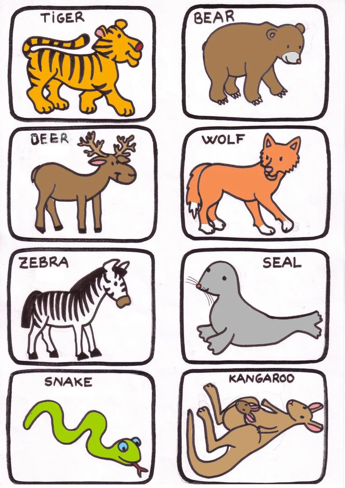 Nombres de animales salvajes en ingles - Imagui