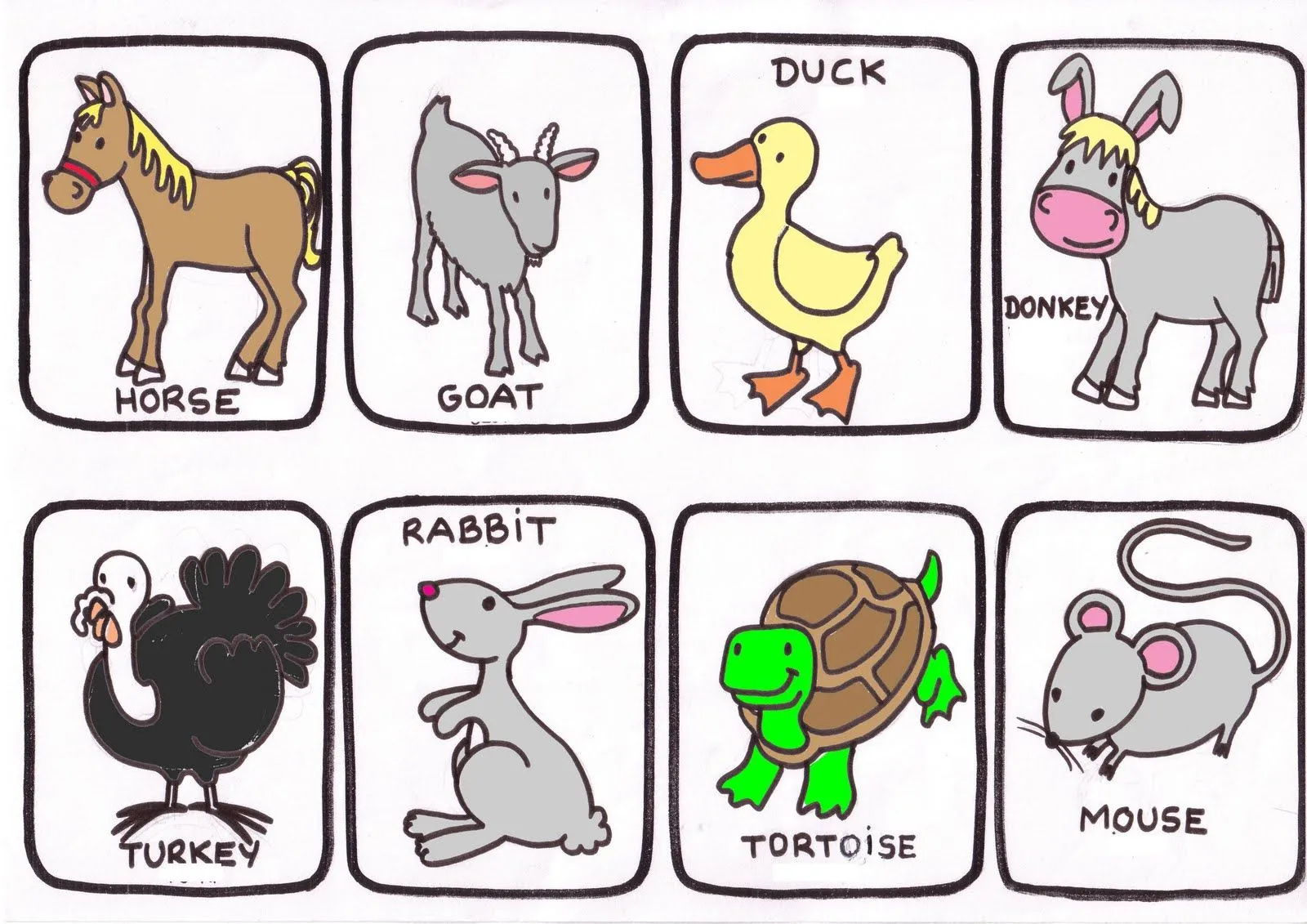 Animales por inglés - Imagui