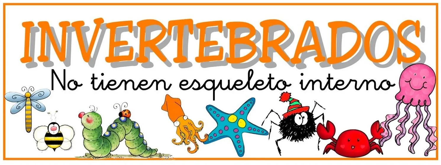 Animales invertebrados y vertebrados - Imagui
