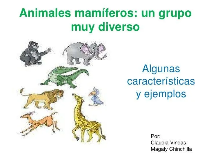 Animales mamíferos