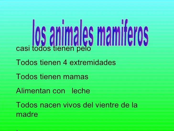 cuales son los animales mamiferos? - Imagui