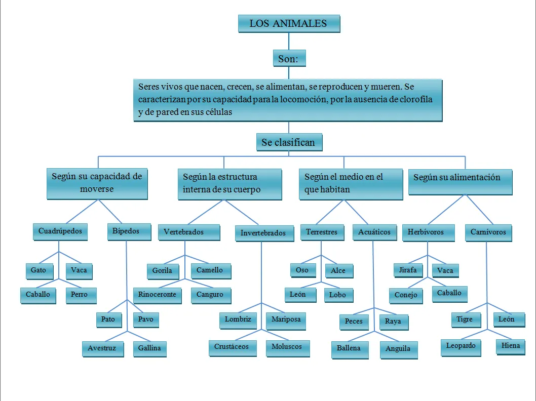 Animales: Mapa Conceptual