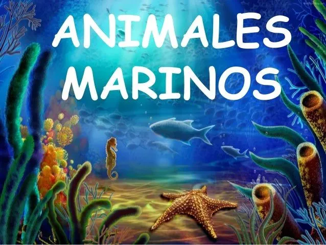 Animales marinos