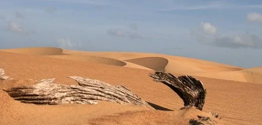 Los Médanos de Coro - Venezuela