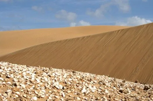 Los Médanos de Coro - Venezuela