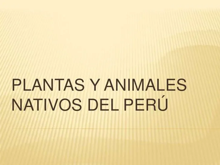 Animales nativos del perú