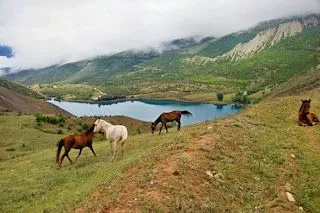 animales: La naturaleza y sus paisajes