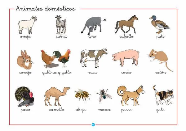Los animales y sus nombres - Imagui