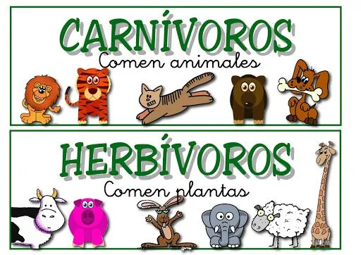 Animales omnívoros para niños - Imagui