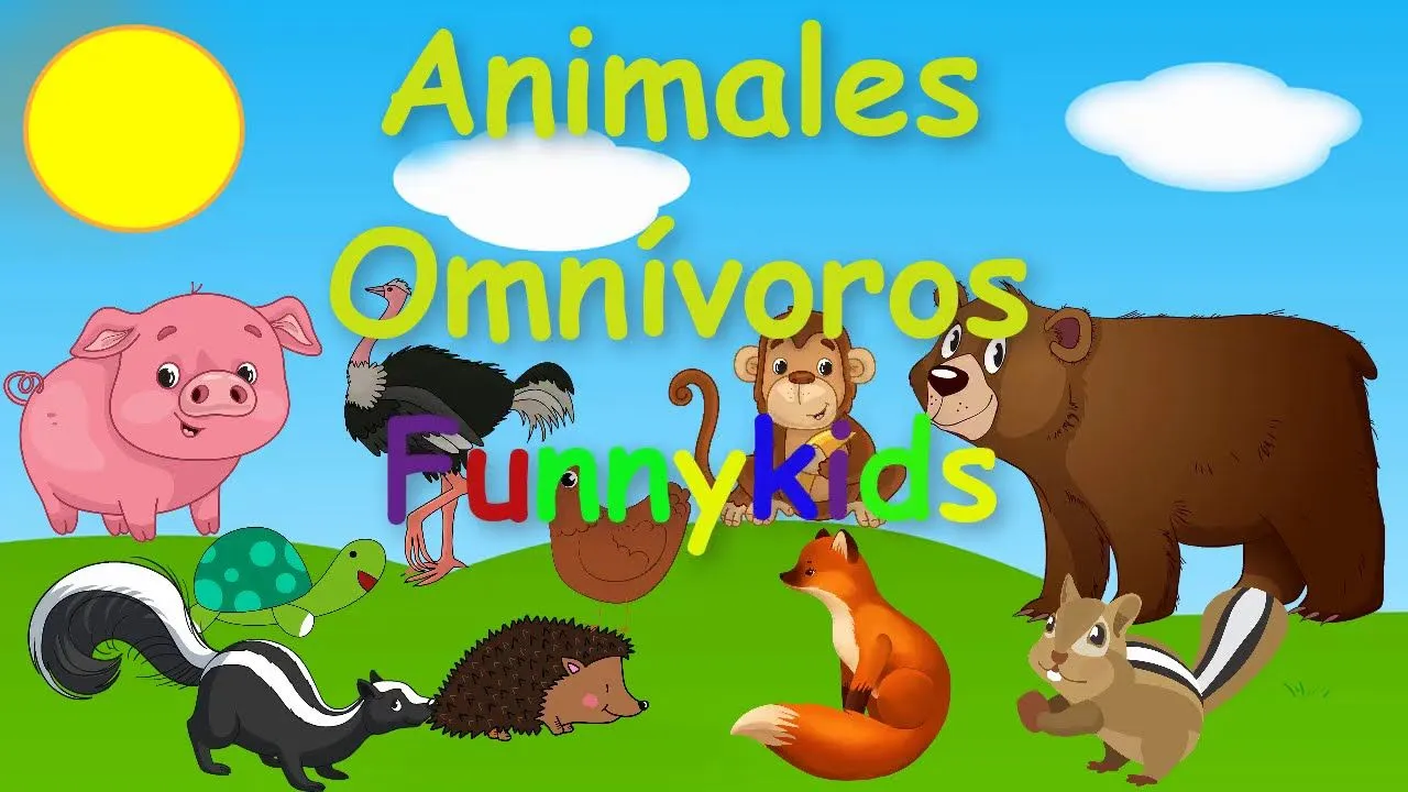 Animales Omnívoros - YouTube