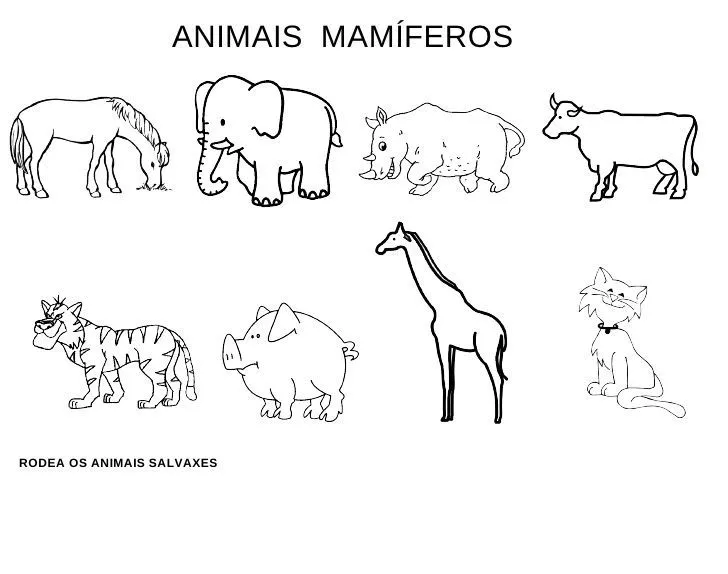 LOS ANIMALES on Pinterest | Animales, Spanish and Power Points