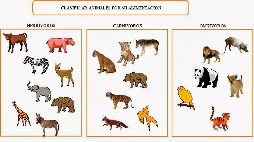 Cuales son los animales oviparos y viviparos - Imagui