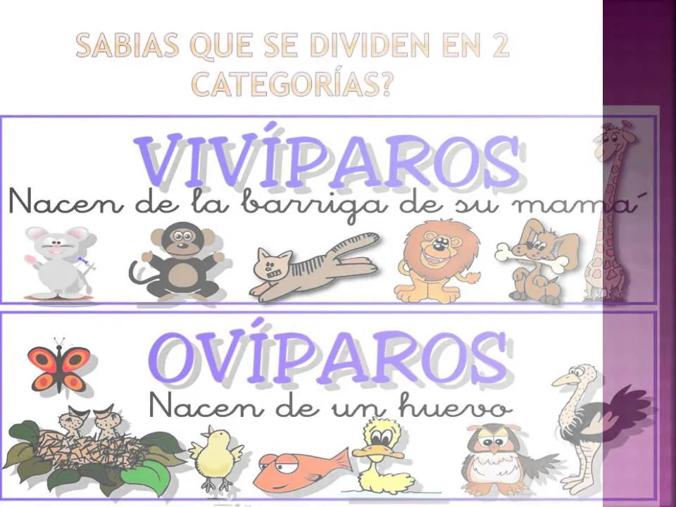 animales ovíparos y vivíparos, UNID Maestría en Educación Rioverde ...