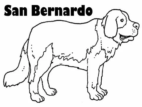 PERRO SAN BERNARDO PARA COLOREAR | Dibujos para colorear