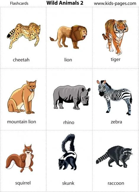 Animales salbajes en inglés - Imagui