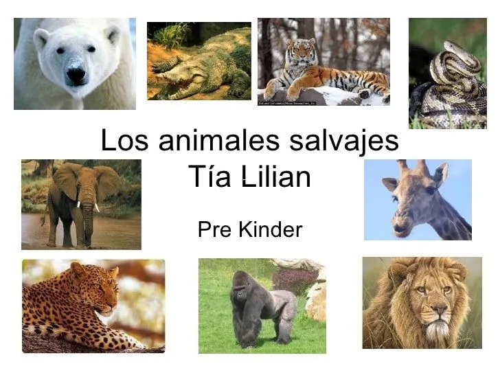 Los animales salvajes