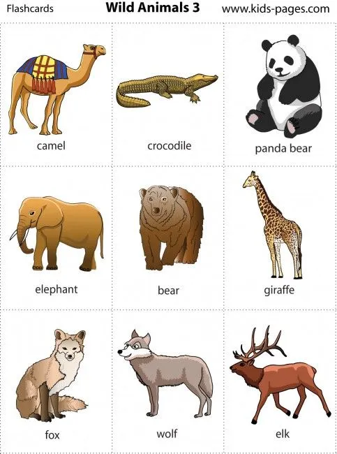 Animales Salvajes (ESP-ENG) | Aprende Ingles Kids