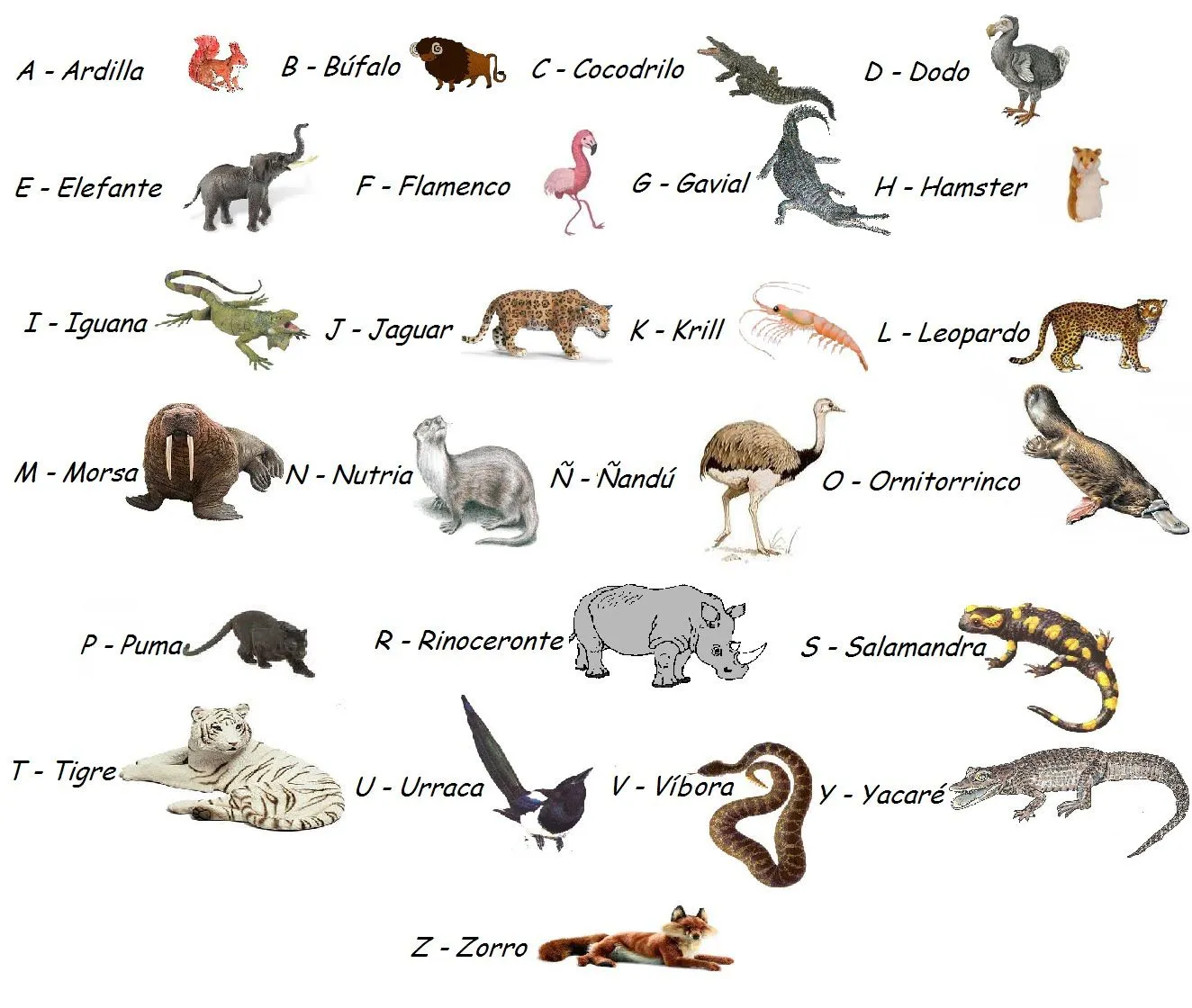 Animales salvajes con nombres - Imagui