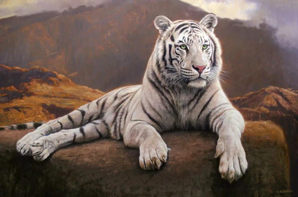 animales salvajes: Tigres Blancos