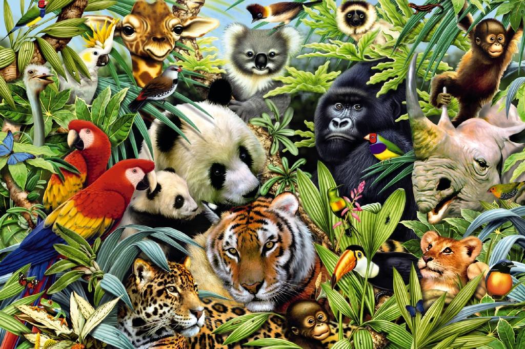 Los Animales de la Selva: Animales que habitan en la selva