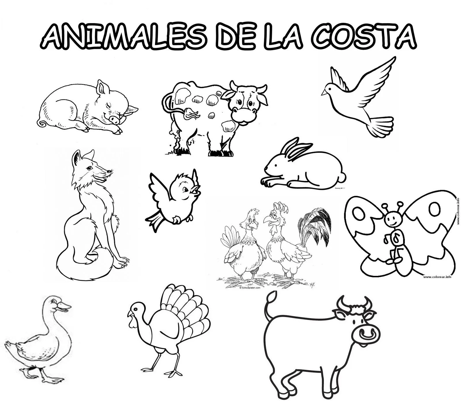 Animales de la sierra para colorear - Imagui