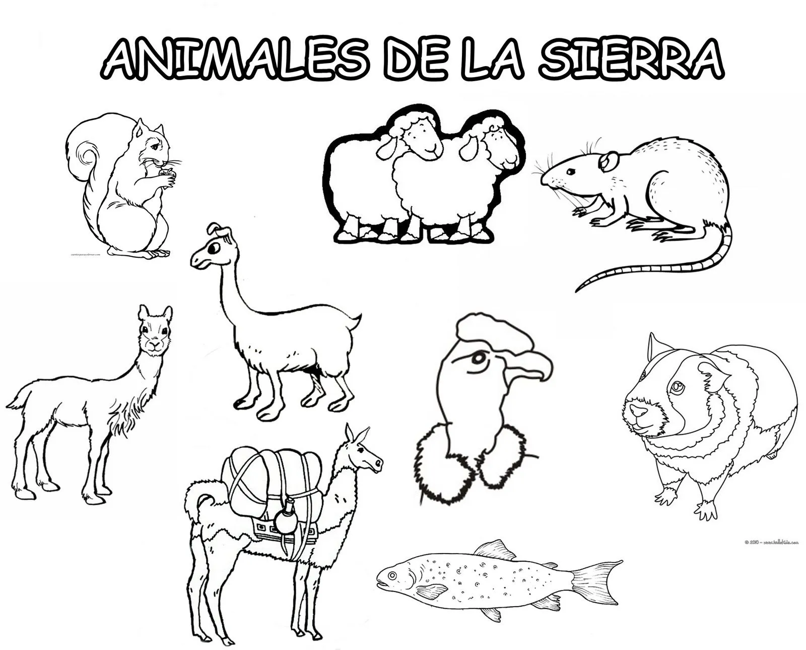 Animales de la region de la sierra para colorear - Imagui