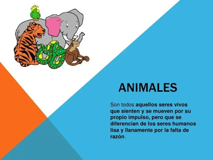 Animales de la selva proyecto final