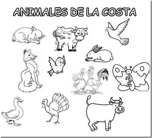 Animales de la sierra para niños - Imagui