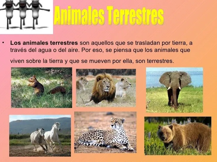 Animales terrestres lamina - Imagui