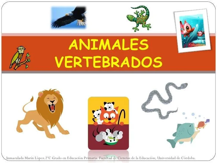 Animales vertebrados