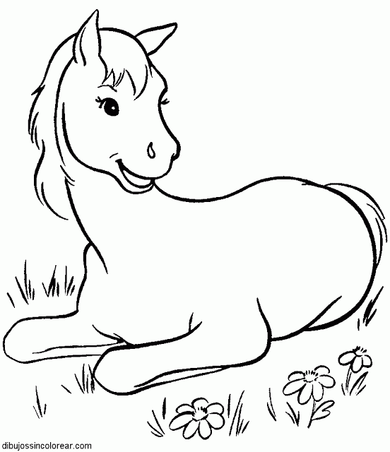 Animales vertebrados facil de dibujar - Imagui