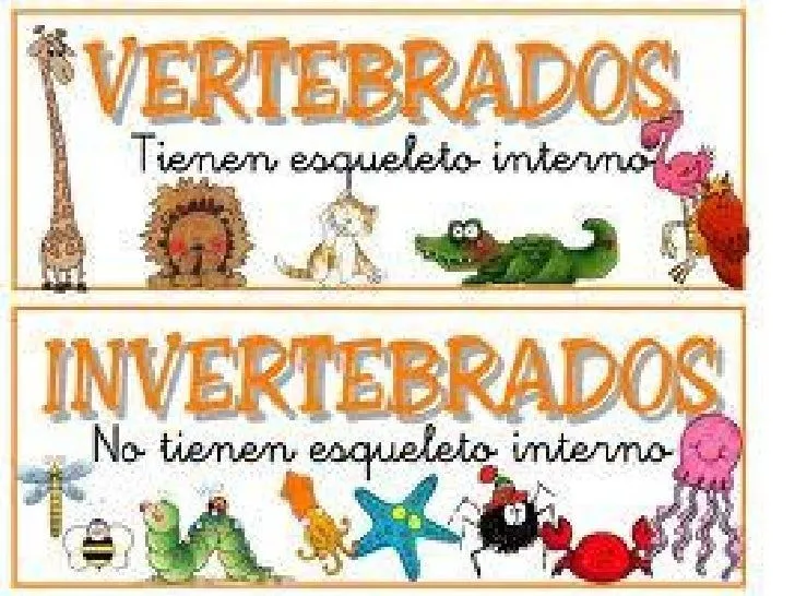 Animales vertebrados e invertebrados