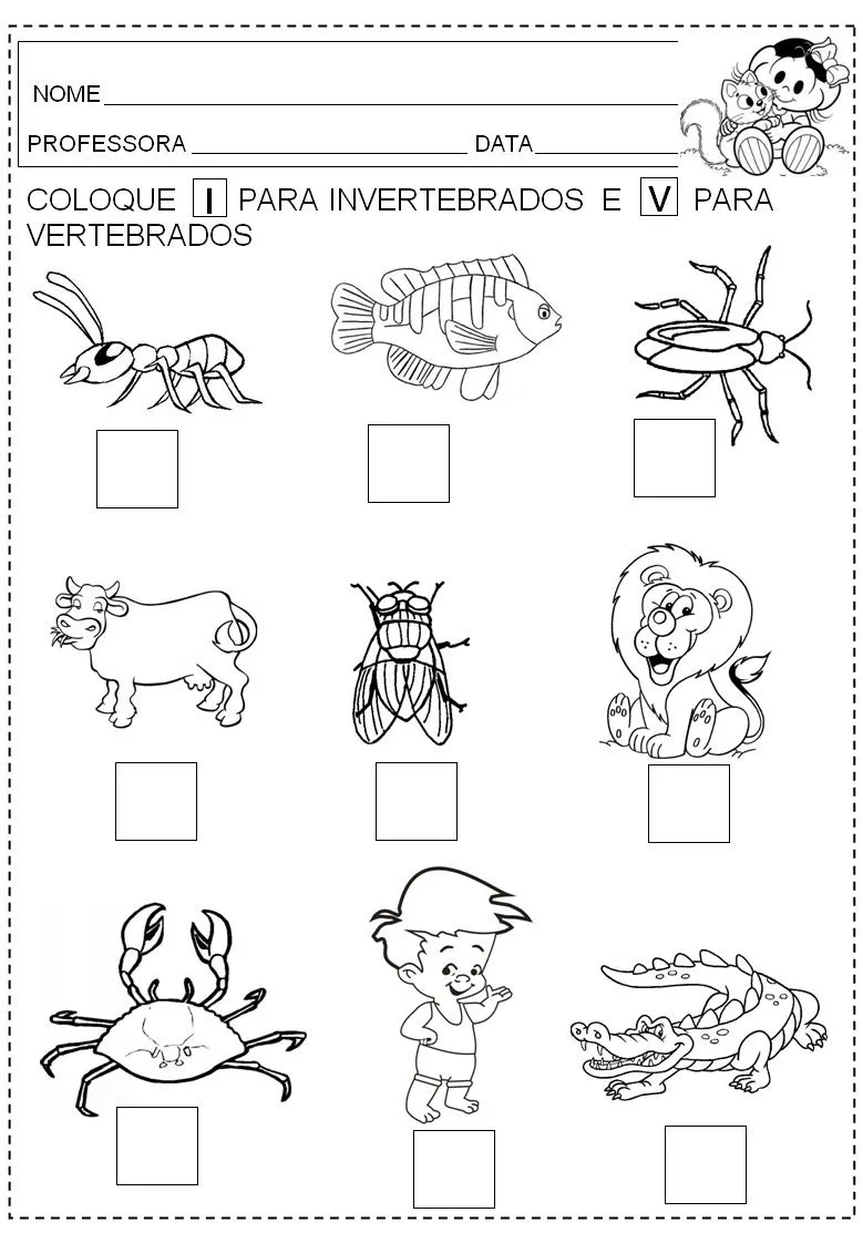 Animales vertebrados e invertebrados para pintar - Imagui