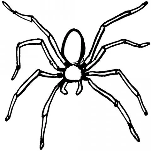 Dibujos de arañas para pintar e imprimir - Imagui